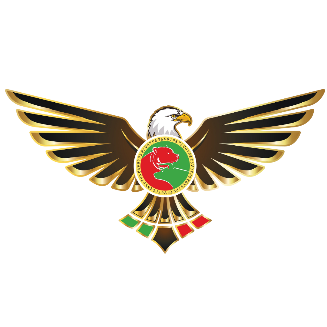 TRADING ZONE MANGALURU